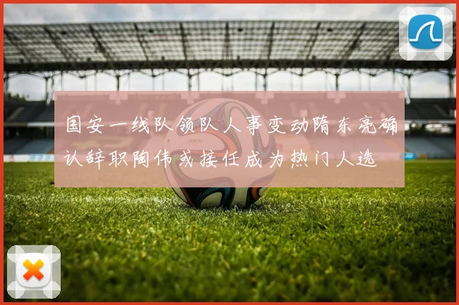 国安一线队领队人事变动隋东亮确认辞职陶伟或接任成为热门人选