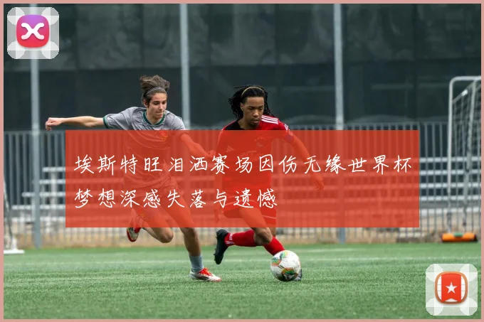 埃斯特旺泪洒赛场因伤无缘世界杯梦想深感失落与遗憾